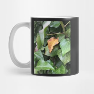 Ivy Mug